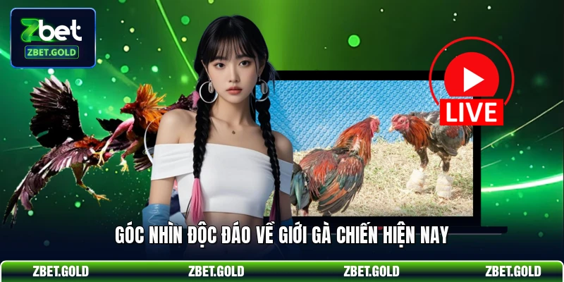 Góc nhìn độc đáo về giới gà chiến hiện nay